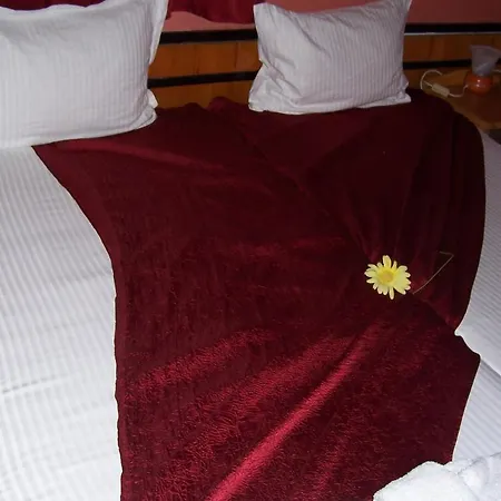 招待所 纳丽旅馆 拉夫达