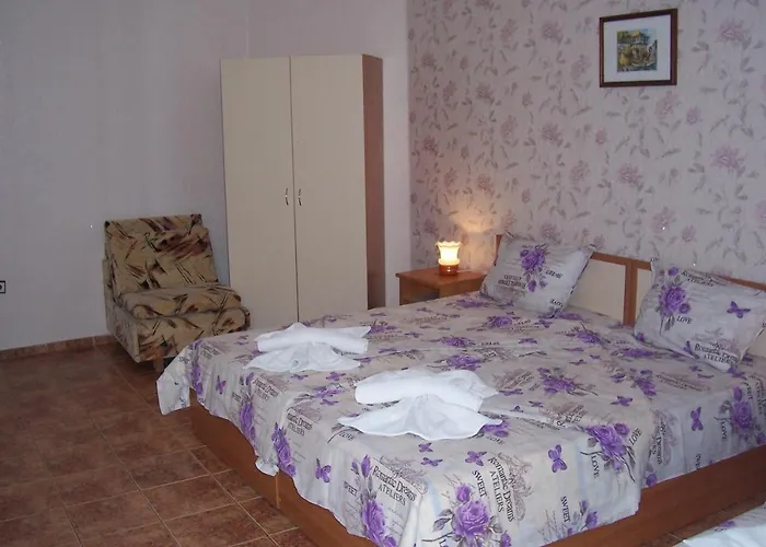 Nelly 招待所 拉夫达