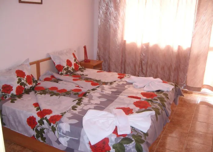 Nelly 게스트하우스 *