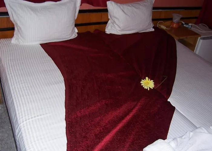 게스트하우스 Nelly 라브다